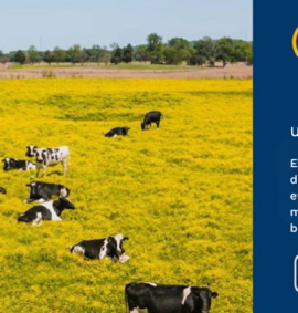 Efetuar as operações de gestão de um efetivo bovino em modo de produção biológico