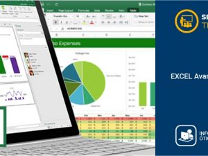 Excel Avançado
