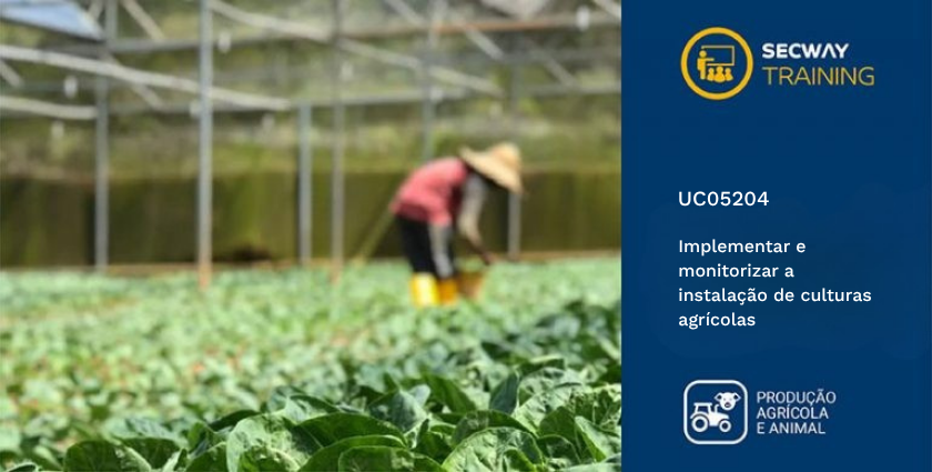 Implementar e monitorizar a instalação de culturas agrícolas