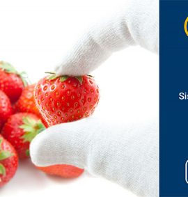 Sistemas de HACCP