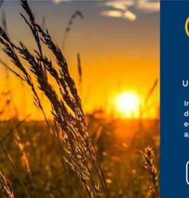 - Implementar medidas de sustentabilidade e economia circular na agricultura