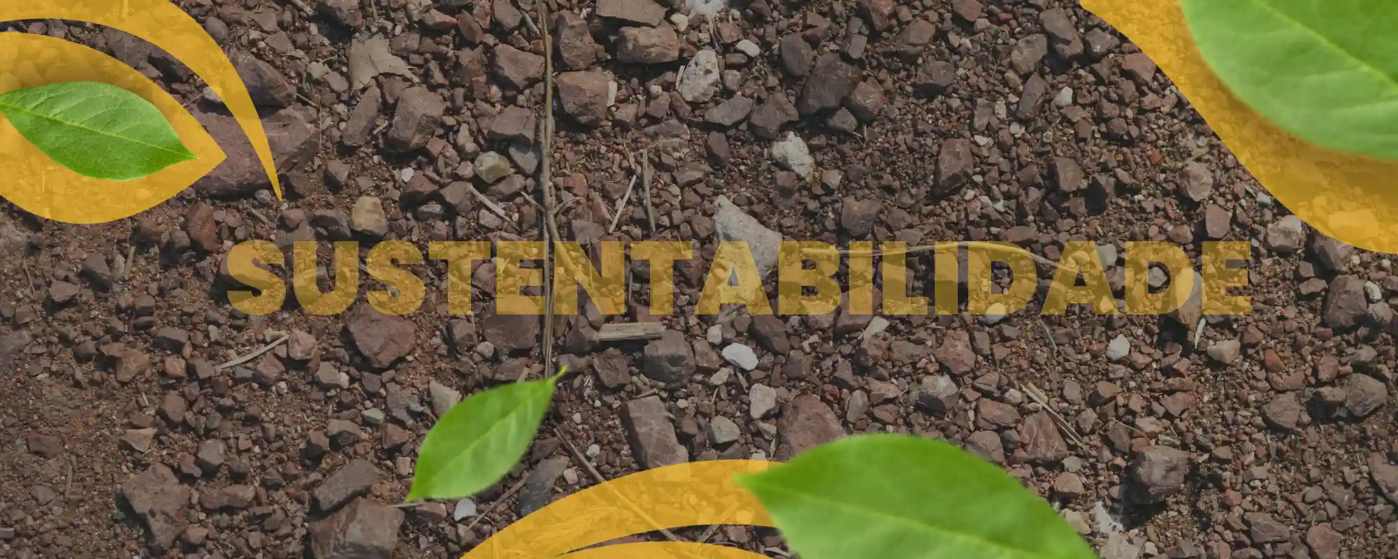 A agricultura sustentável e o dia nacional da sustentabilidade